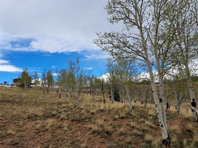 636 Sharps Way, Como, CO 80432