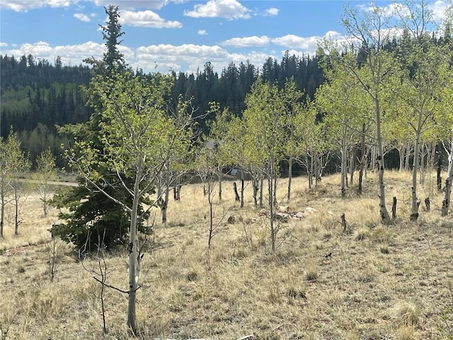 636 Sharps Way, Como, CO 80432