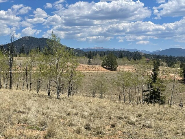 636 Sharps Way, Como, CO 80432