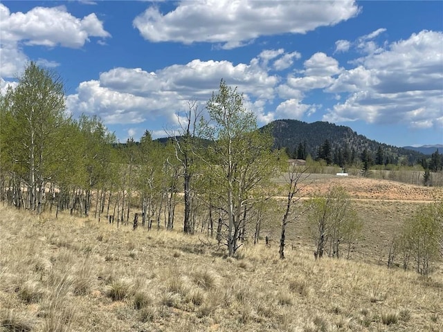 636 Sharps Way, Como, CO 80432