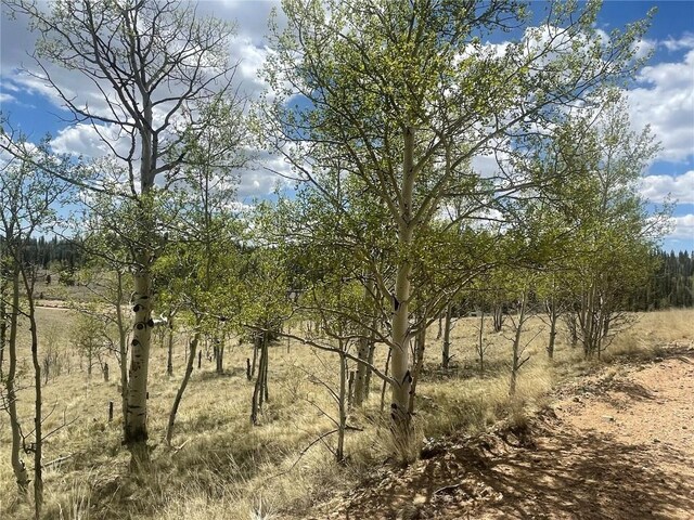636 Sharps Way, Como, CO 80432