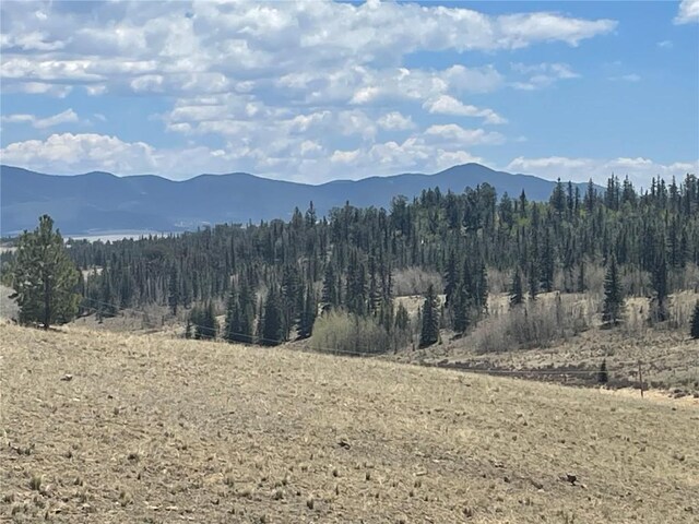 636 Sharps Way, Como, CO 80432