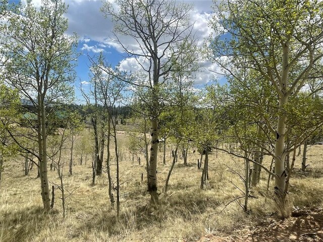636 Sharps Way, Como, CO 80432
