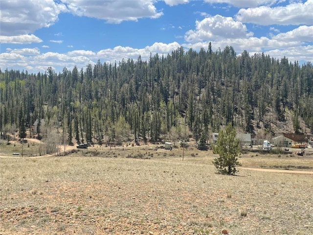 636 Sharps Way, Como, CO 80432