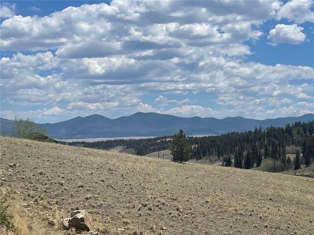 636 Sharps Way, Como, CO 80432
