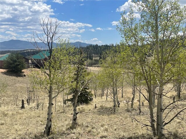 636 Sharps Way, Como, CO 80432