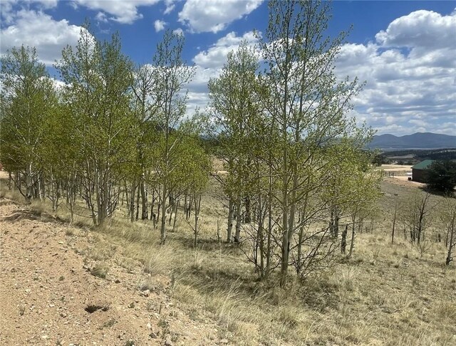 636 Sharps Way, Como, CO 80432