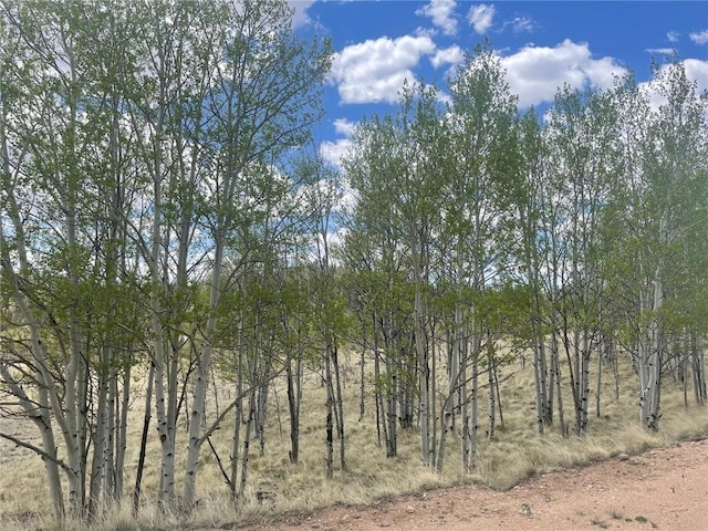 636 Sharps Way, Como, CO 80432