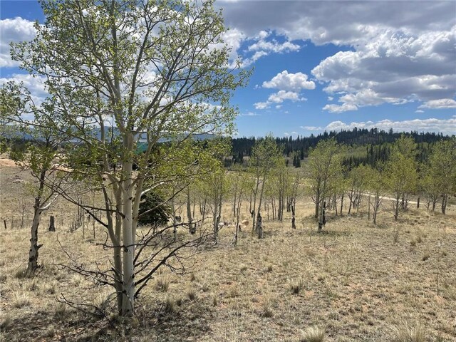 636 Sharps Way, Como, CO 80432
