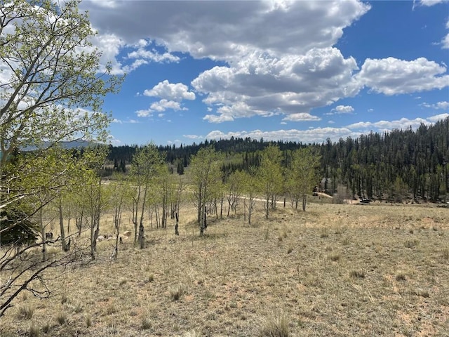 636 Sharps Way, Como, CO 80432
