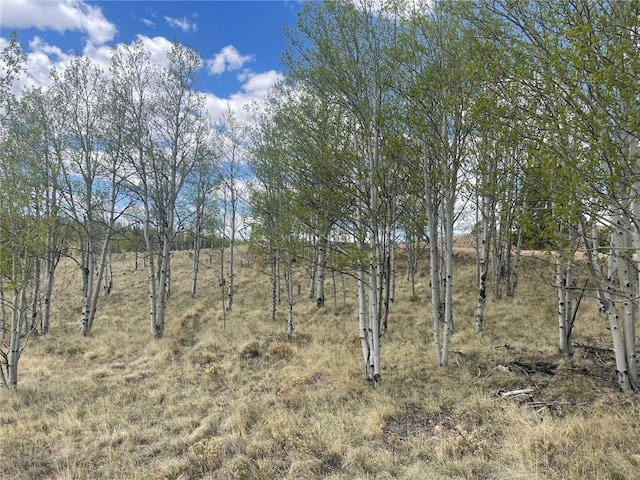 636 Sharps Way, Como, CO 80432