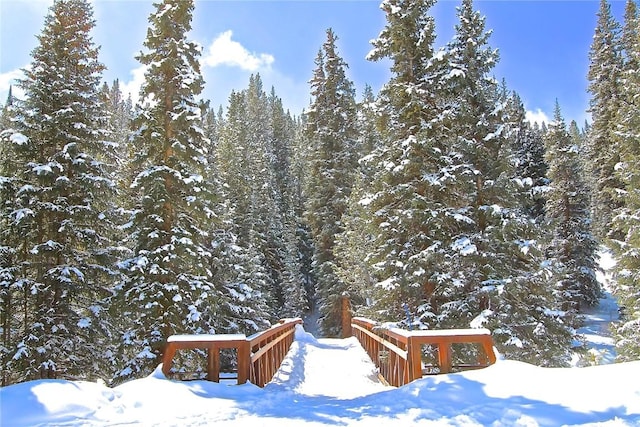 30 Union Creek Trl Bldg 2 # 201, Copper Mountain, CO 80443 - snowy yard featuring a wooded view