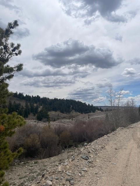 1582 Beaver Creek Rd, Fairplay, CO 80440