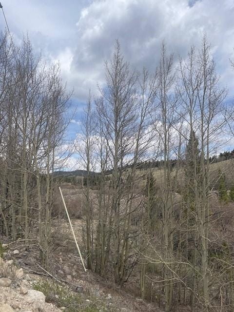 1582 Beaver Creek Rd, Fairplay, CO 80440