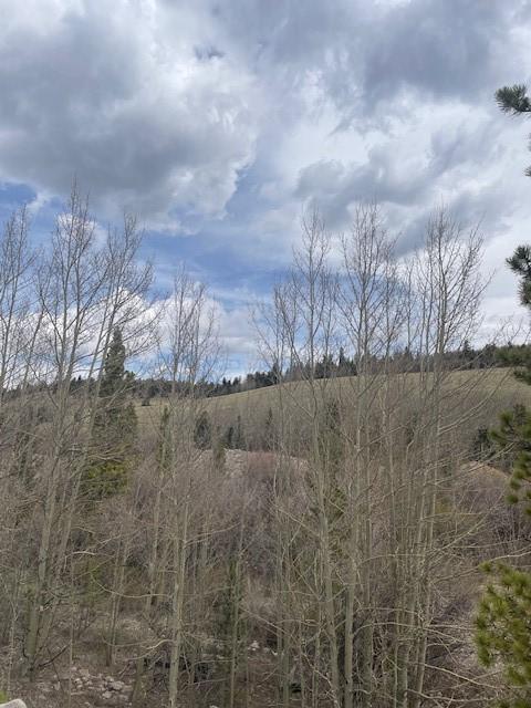1582 Beaver Creek Rd, Fairplay, CO 80440