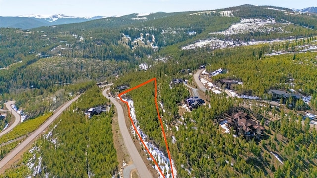 705 Discovery Hill Dr, Breckenridge, CO 80424