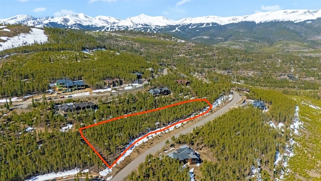 705 Discovery Hill Dr, Breckenridge, CO 80424