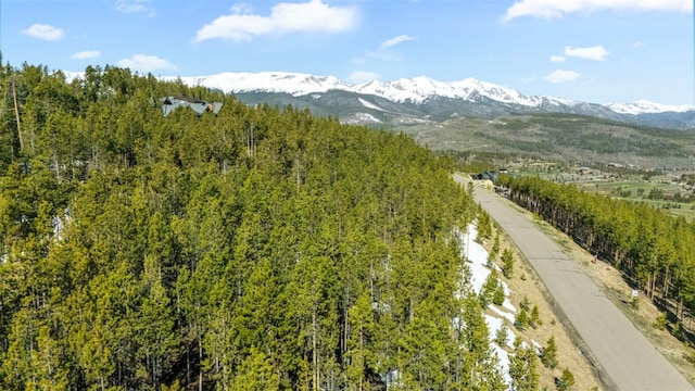 705 Discovery Hill Dr, Breckenridge, CO 80424