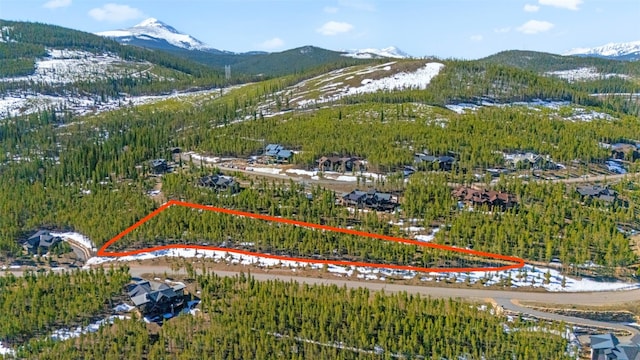 705 Discovery Hill Dr, Breckenridge, CO 80424