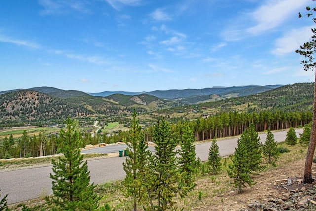 705 Discovery Hill Dr, Breckenridge, CO 80424