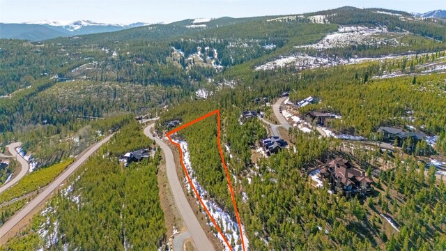 705 Discovery Hill Dr, Breckenridge, CO 80424