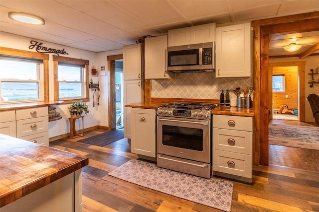 33685 State Highway 134, Toponas, CO 80479 - kitchen featuring stainless steel appliances, butcher block countertops, decorative backsplash, dark wood finished floors, and healthy amount of natural light
