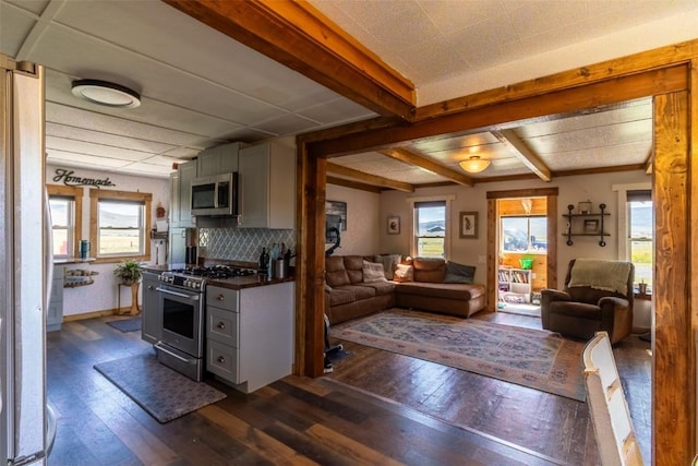 33685 State Highway 134, Toponas, CO 80479 - kitchen with appliances with stainless steel finishes, dark wood finished floors, plenty of natural light, open floor plan, and beam ceiling