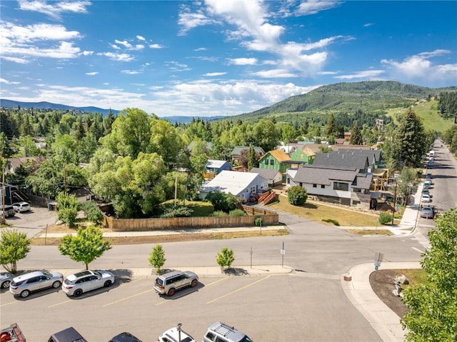 538 8th St, Steamboat Springs, CO 80487 - photo 10
