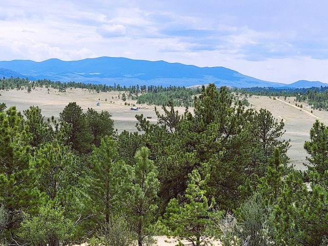 1051 Arapahoe Trl, Hartsel, CO 80449 - photo 7