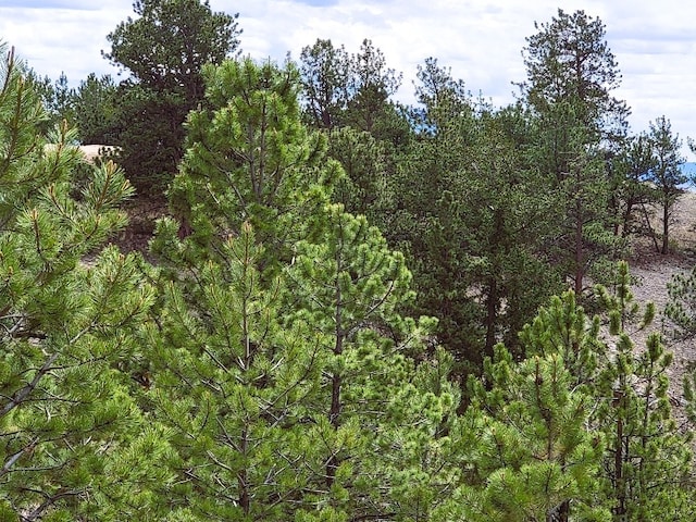 1051 Arapahoe Trl, Hartsel, CO 80449 - photo 27