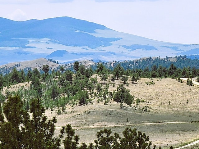 1051 Arapahoe Trl, Hartsel, CO 80449 - photo 1
