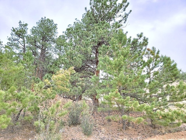 1051 Arapahoe Trl, Hartsel, CO 80449 - photo 16