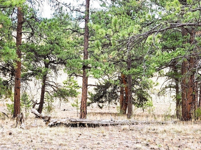 1051 Arapahoe Trl, Hartsel, CO 80449 - photo 42