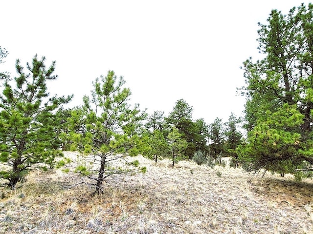 1051 Arapahoe Trl, Hartsel, CO 80449 - photo 20