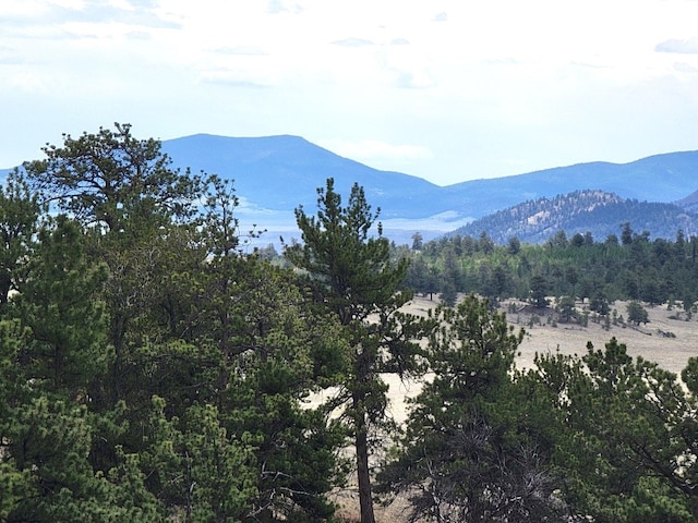1051 Arapahoe Trl, Hartsel, CO 80449 - photo 38
