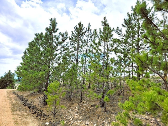 1051 Arapahoe Trl, Hartsel, CO 80449 - photo 17