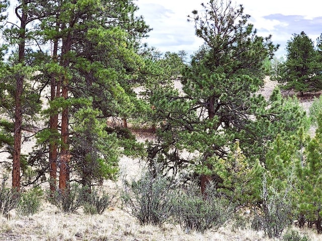 1051 Arapahoe Trl, Hartsel, CO 80449 - photo 30