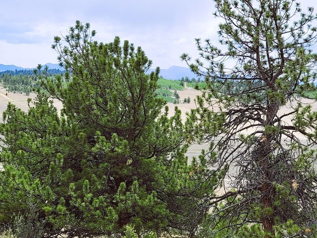1051 Arapahoe Trl, Hartsel, CO 80449 - photo 25