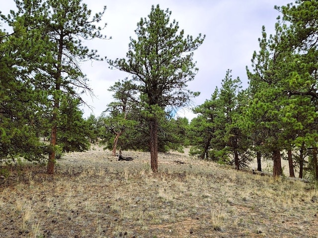 1051 Arapahoe Trl, Hartsel, CO 80449 - photo 34