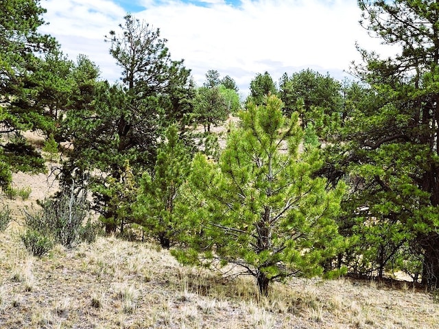 1051 Arapahoe Trl, Hartsel, CO 80449 - photo 29