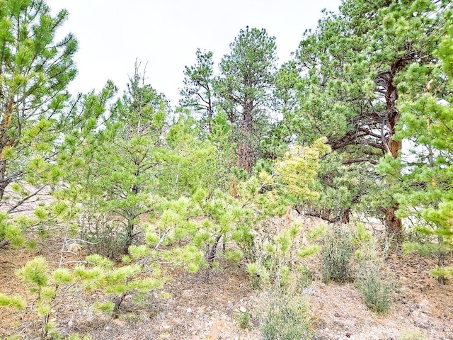 1051 Arapahoe Trl, Hartsel, CO 80449 - photo 14