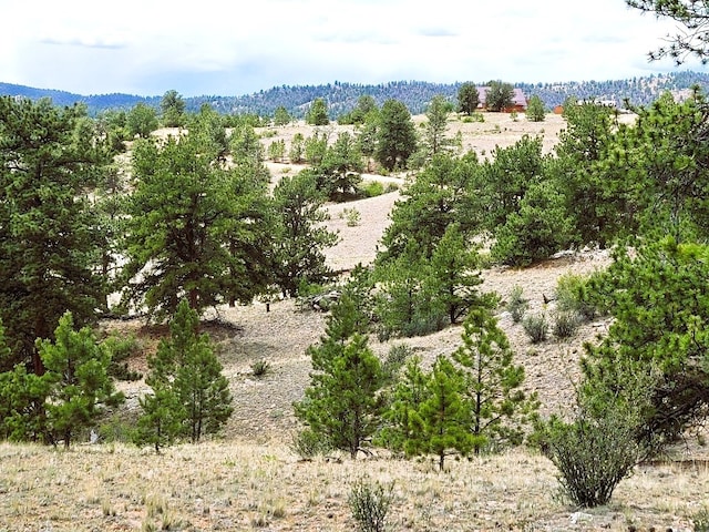 1051 Arapahoe Trl, Hartsel, CO 80449 - photo 46