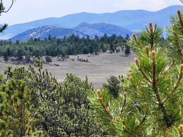 1051 Arapahoe Trl, Hartsel, CO 80449 - photo 2