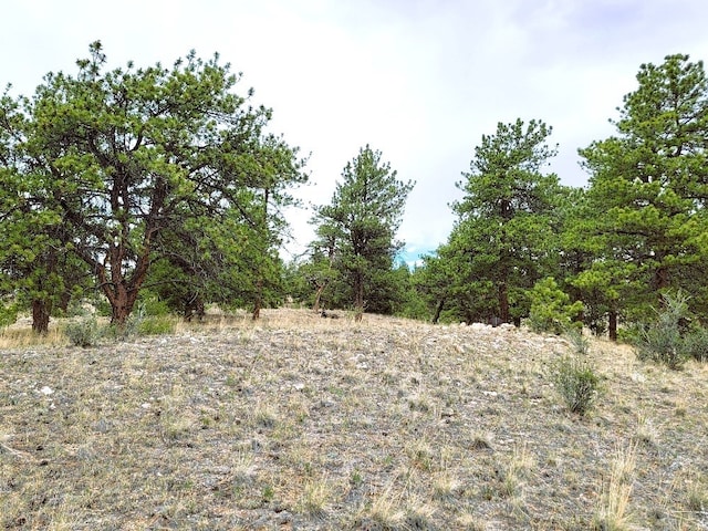 1051 Arapahoe Trl, Hartsel, CO 80449 - photo 24