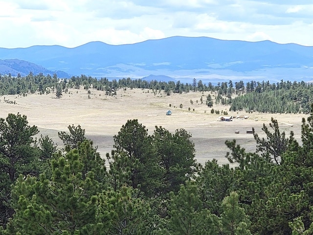 1051 Arapahoe Trl, Hartsel, CO 80449 - photo 50