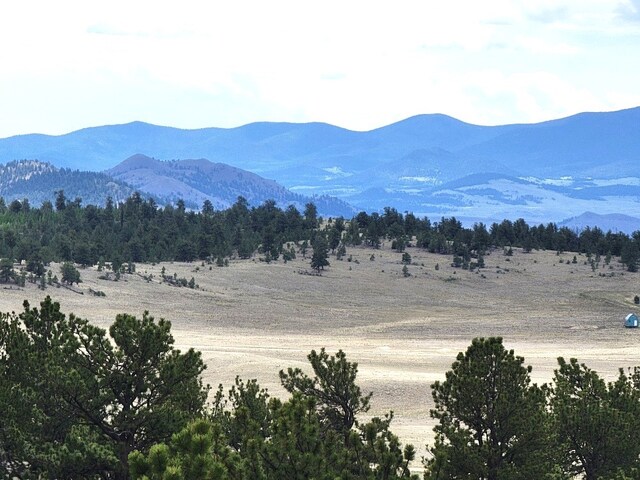 1051 Arapahoe Trl, Hartsel, CO 80449 - photo 37