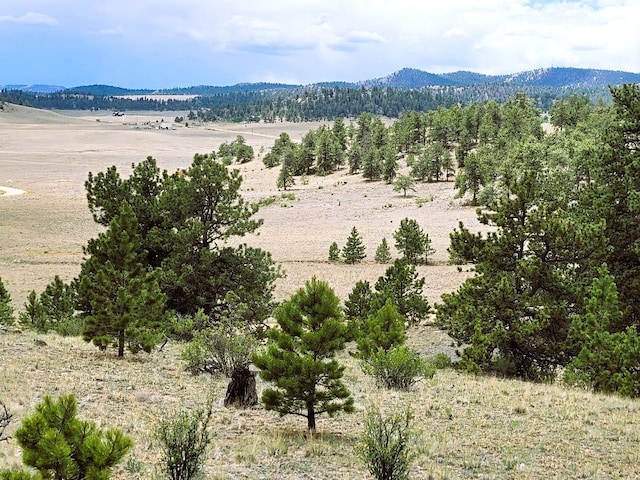 1051 Arapahoe Trl, Hartsel, CO 80449 - photo 45