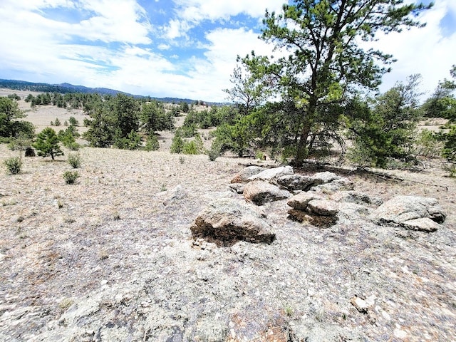 1051 Arapahoe Trl, Hartsel, CO 80449 - photo 49