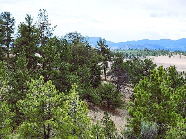 1051 Arapahoe Trl, Hartsel, CO 80449 - photo 26