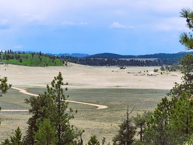 1051 Arapahoe Trl, Hartsel, CO 80449 - photo 4